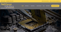 Desktop Screenshot of netgoos.com